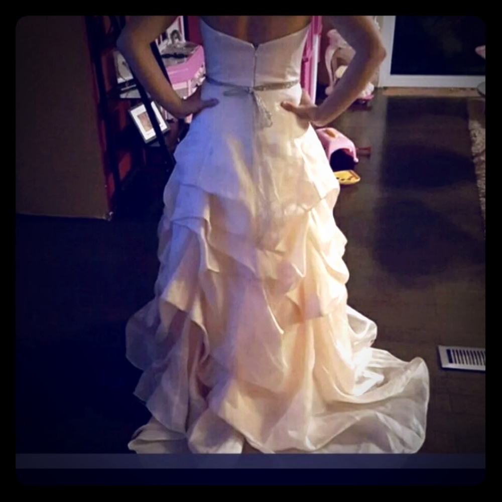 Water's Wedding gown
